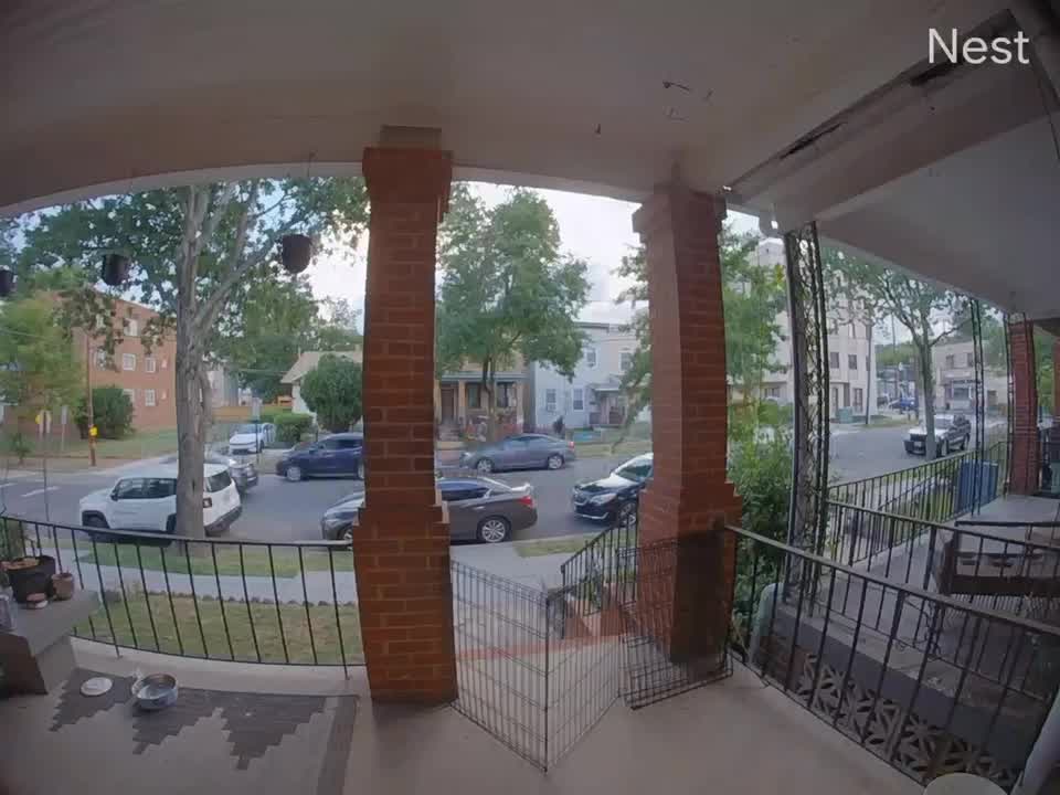 DC officer rams into tree during pursuit of armed carjacker