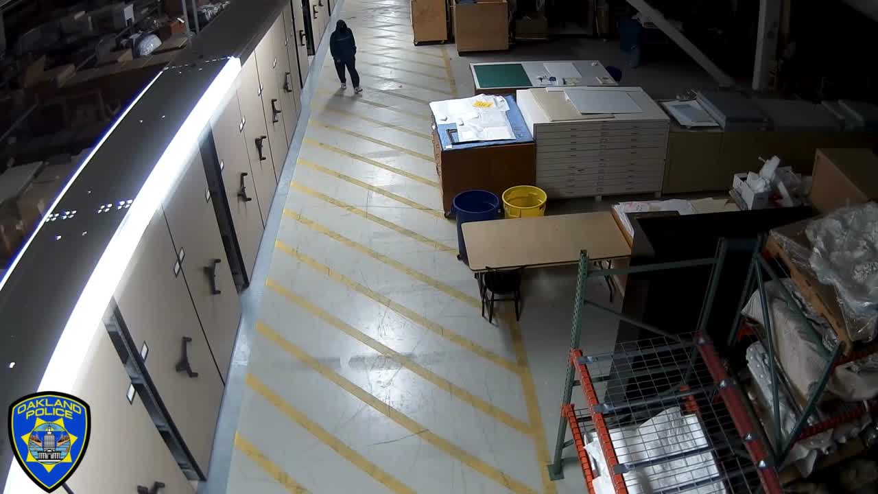 Watch: Surveillance video shows suspects in Oakland Museum theft