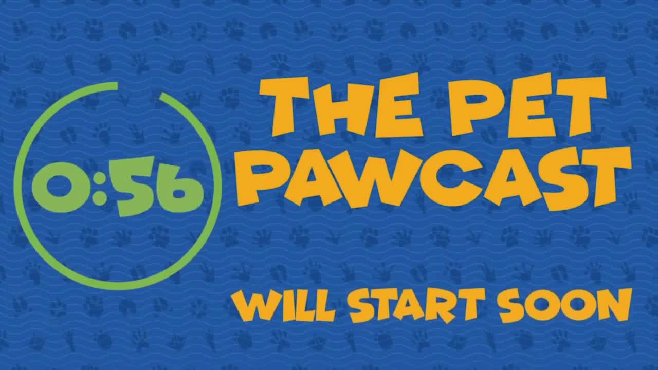Spay and Neutering - The Pet Pawcast