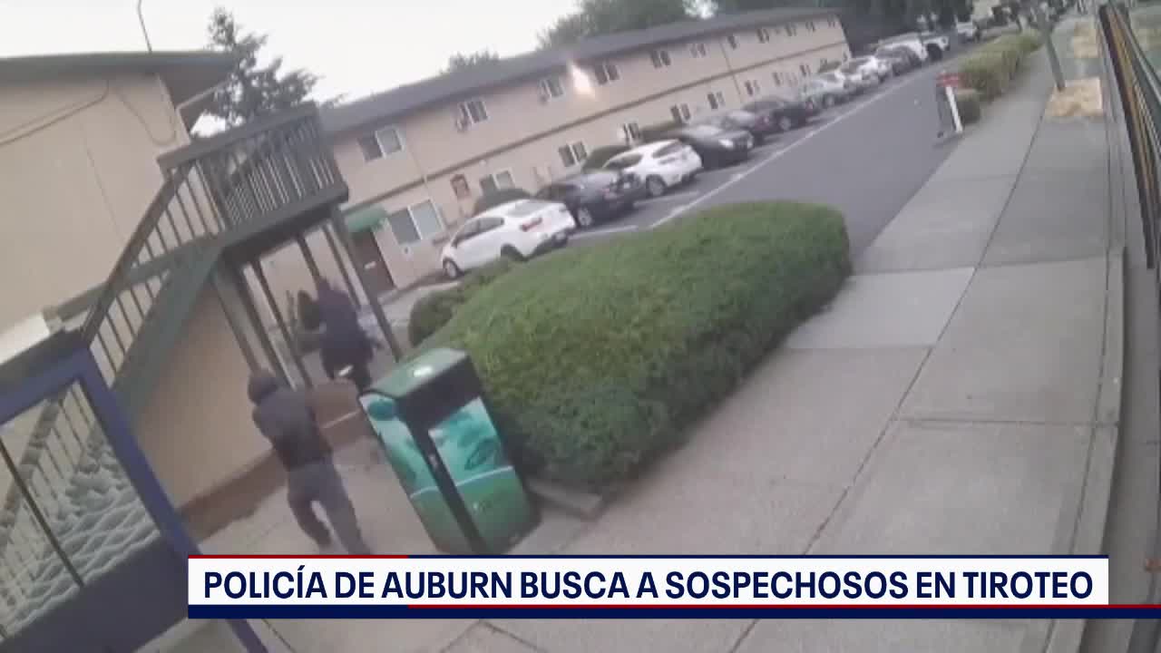 Últimas noticias con el noticiero FOX 13 Seattle: Martes, 30 de julio