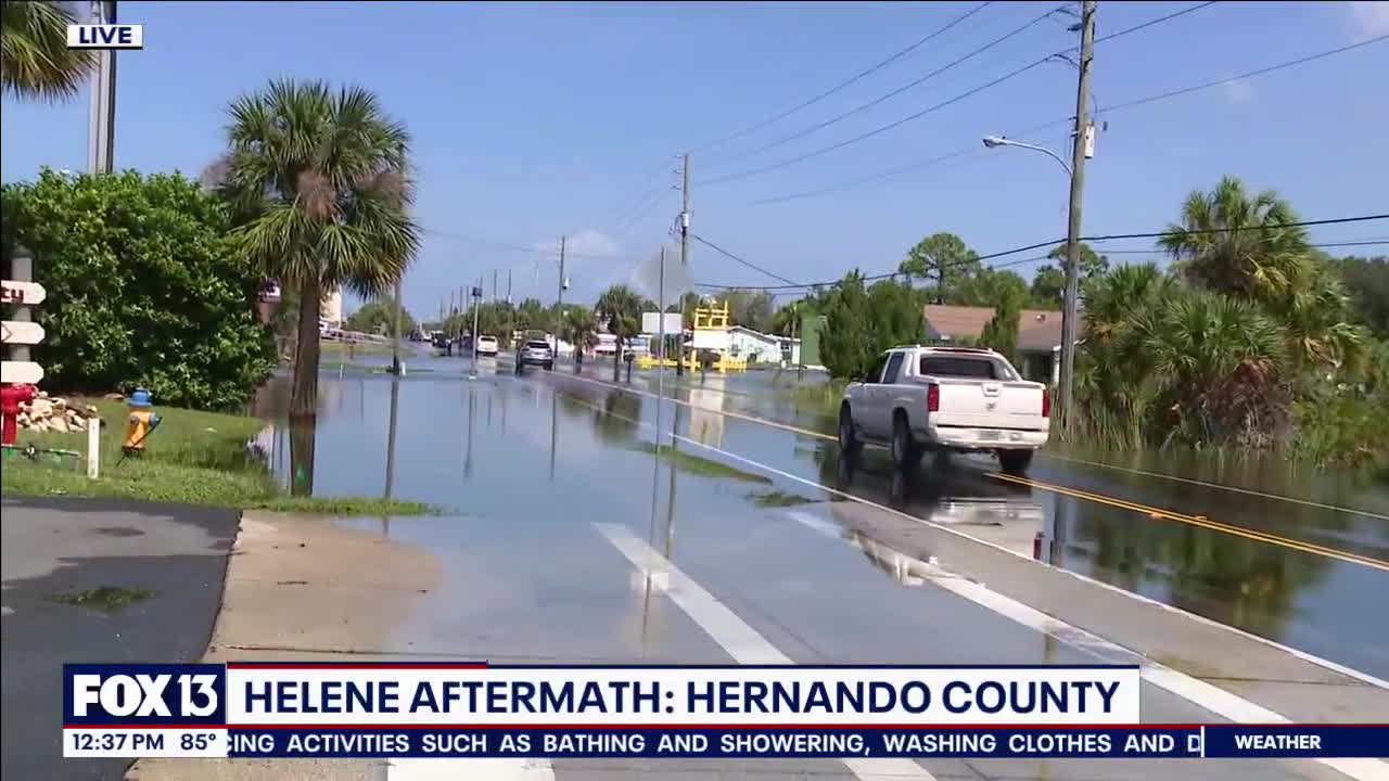 Dozens rescued in Hernando County