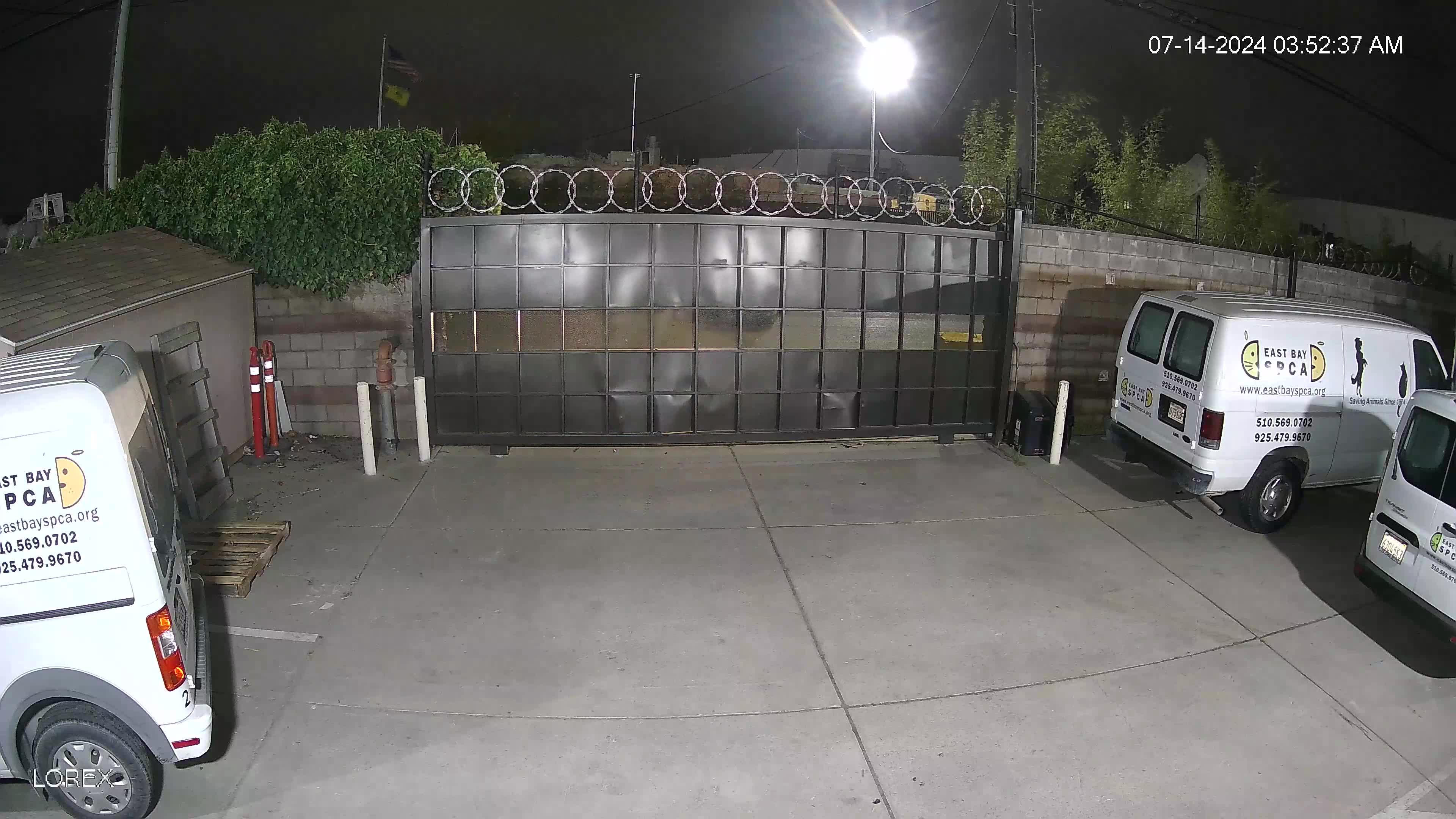 Raw video: East Bay SPCA burglarized