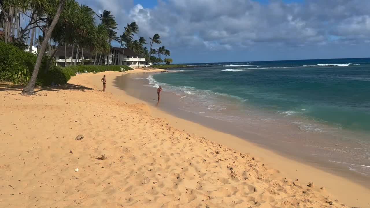 Tsunami live stream reddit
