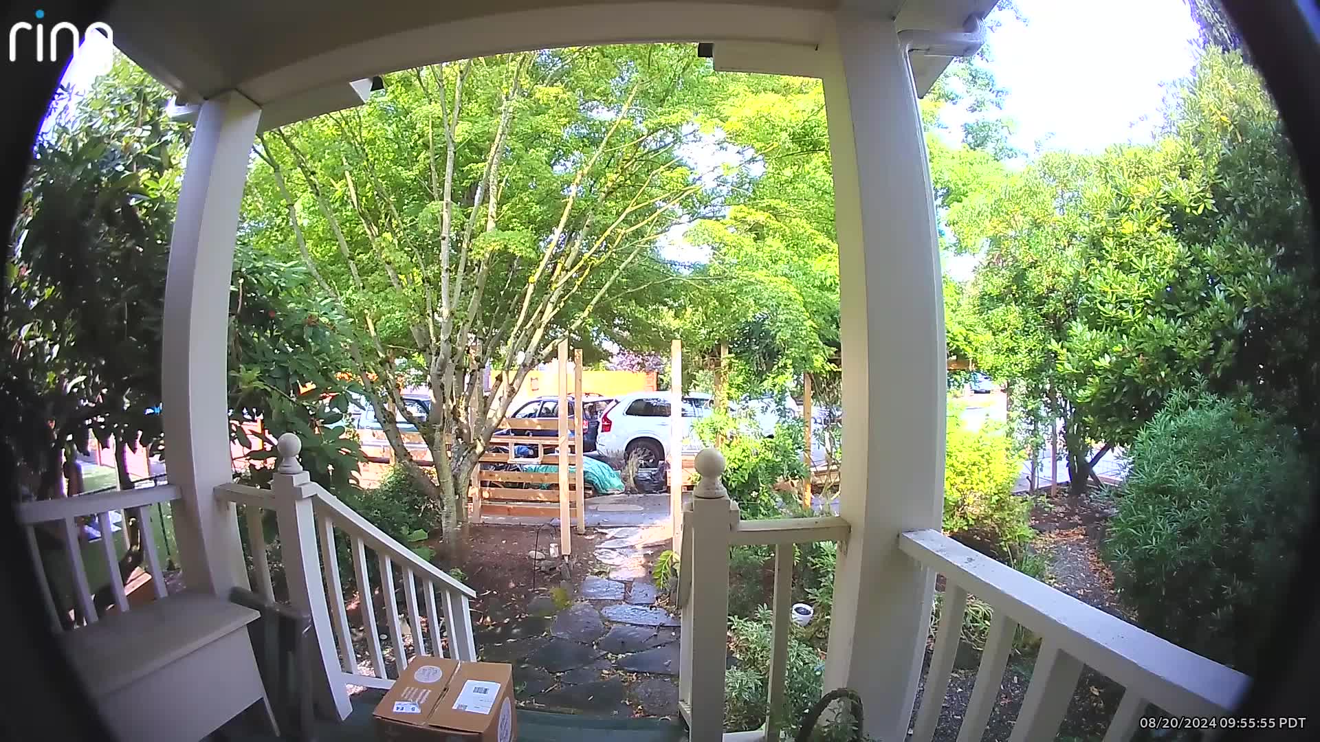 Ring camera catches Seattle carjacking in Madison Valley